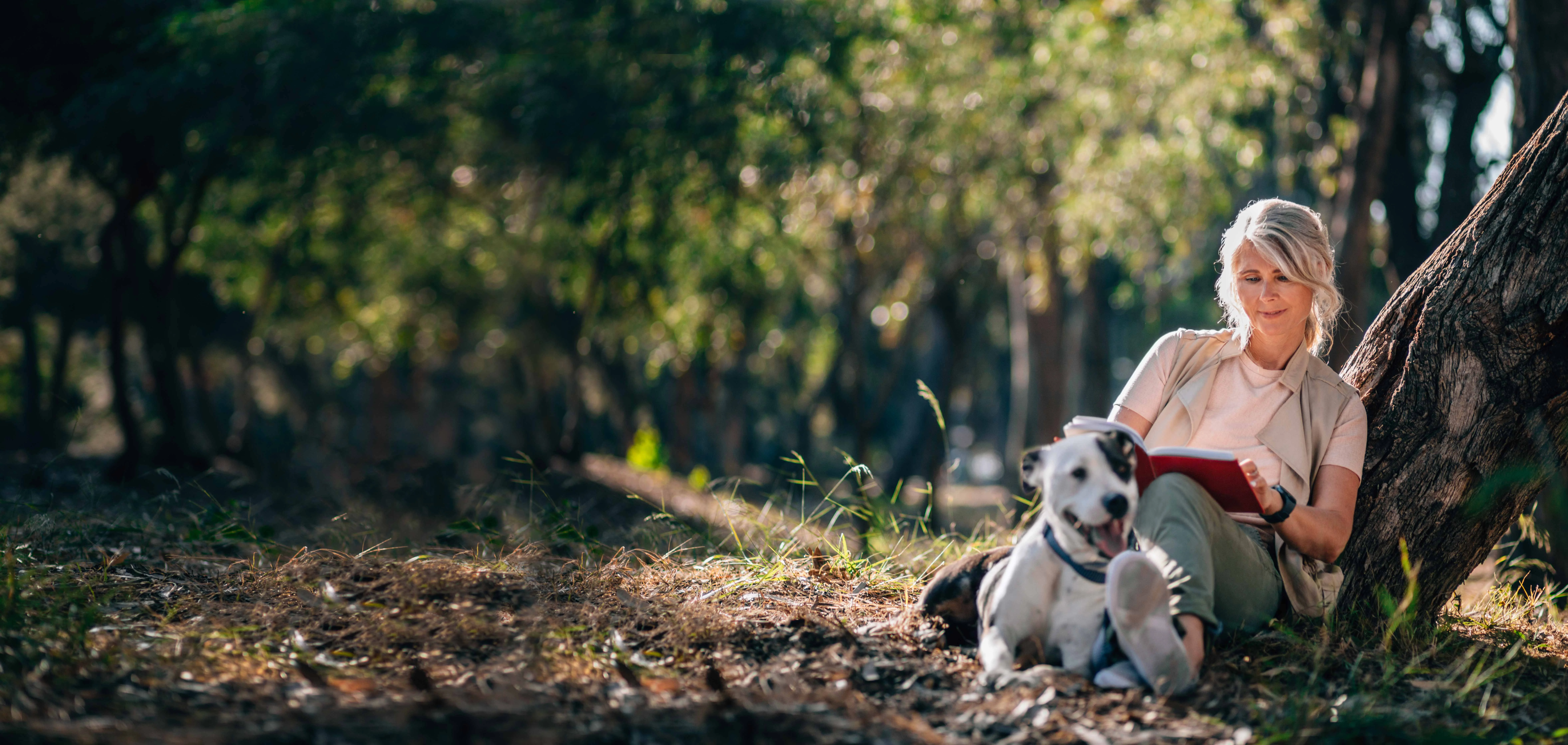 une personne assise dans les bois avec un chien