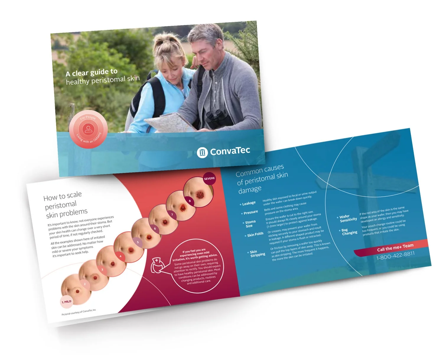 brochure
